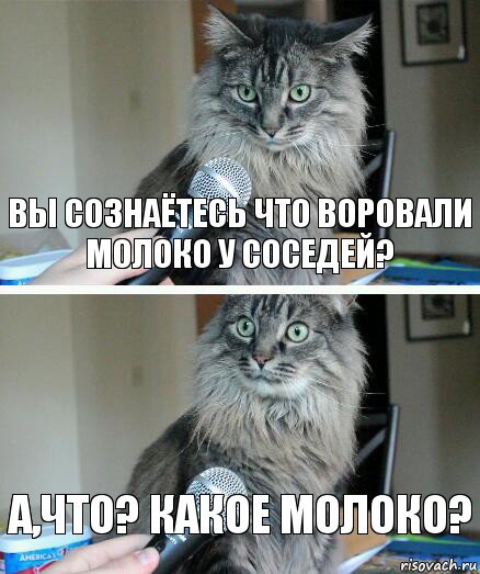 Вы сознаётесь что воровали молоко у соседей? А,что? Какое молоко?, Комикс  кот с микрофоном