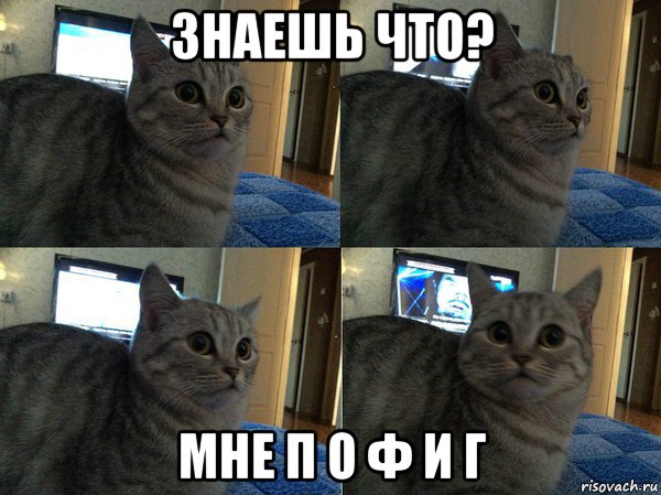 знаешь что? мне п о ф и г