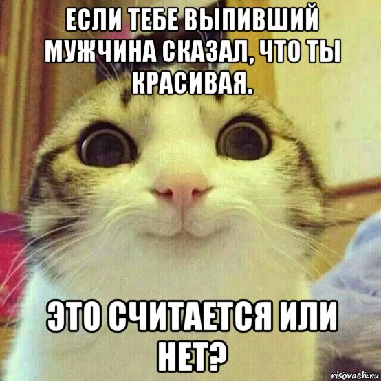 если тебе выпивший мужчина сказал, что ты красивая. это считается или нет?, Мем       Котяка-улыбака