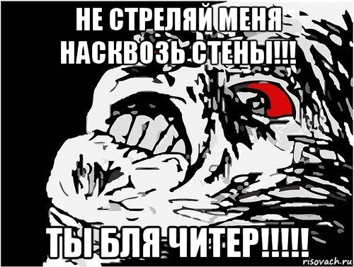 не стреляй меня насквозь стены!!! ты бля читер!!!!!, Мем в ужасе