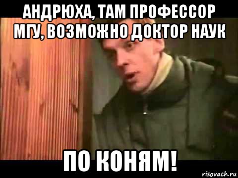 андрюха, там профессор мгу, возможно доктор наук по коням!, Мем Ларин по коням