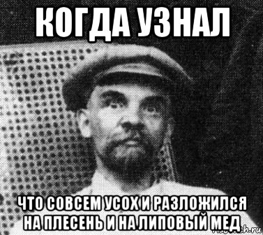 когда узнал что совсем усох и разложился на плесень и на липовый мед, Мем   Ленин удивлен