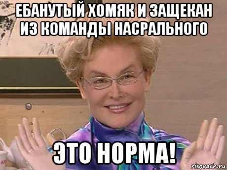 ебанутый хомяк и защекан из команды насрального это норма!, Мем Елена Малышева