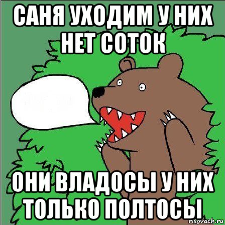 саня уходим у них нет соток они владосы у них только полтосы, Мем Медведь-шлюха