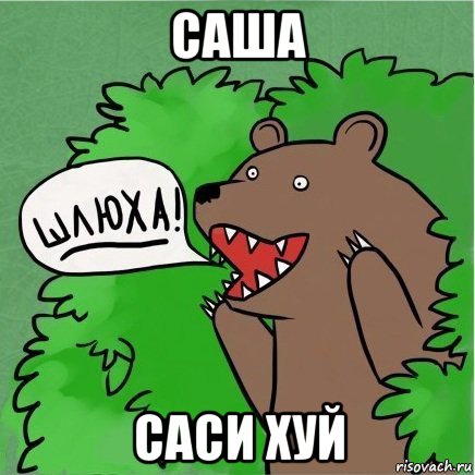 саша саси хуй