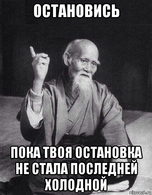 остановись пока твоя остановка не стала последней холодной, Мем Монах-мудрец (сэнсей)