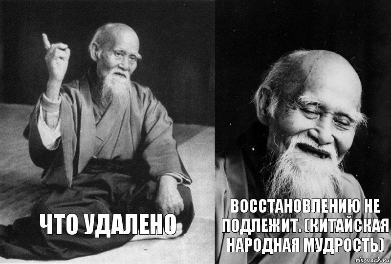 Что удалено восстановлению не подлежит. (китайская народная мудрость), Комикс Мудрец-монах (2 зоны)