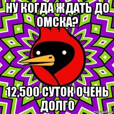 ну когда ждать до омска? 12,500 суток очень долго, Мем Омская птица