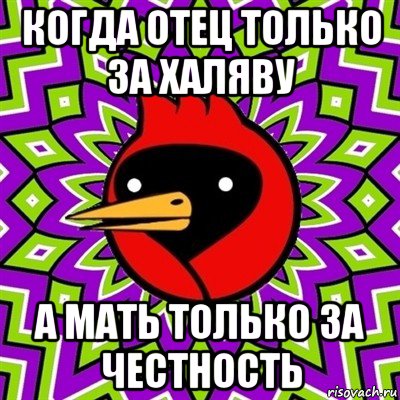 когда отец только за халяву а мать только за честность, Мем Омская птица