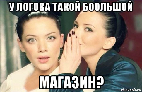 у логова такой боольшой магазин?, Мем  Он