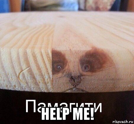  help me!, Мем   Памагити