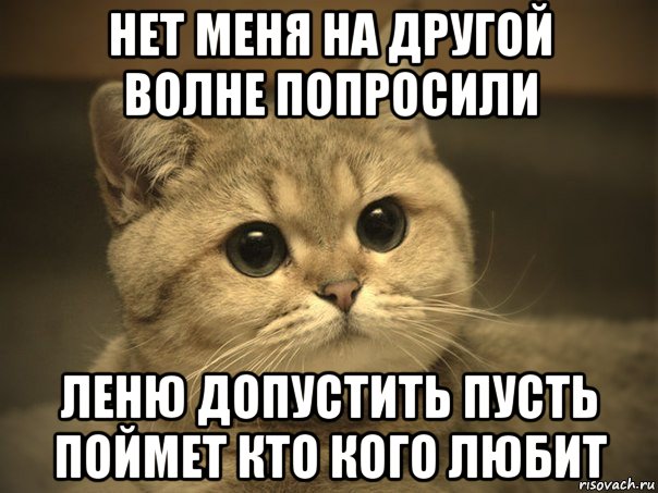 нет меня на другой волне попросили леню допустить пусть поймет кто кого любит, Мем Пидрила ебаная котик