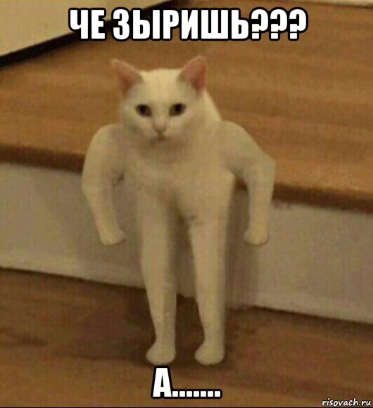 че зыришь??? а.......