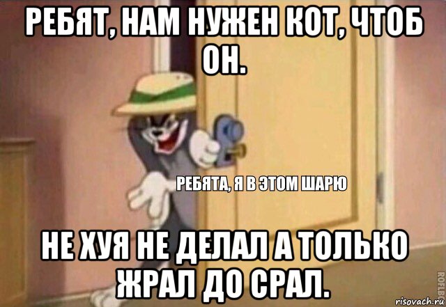 ребят, нам нужен кот, чтоб он. не хуя не делал а только жрал до срал., Мем    Ребята я в этом шарю