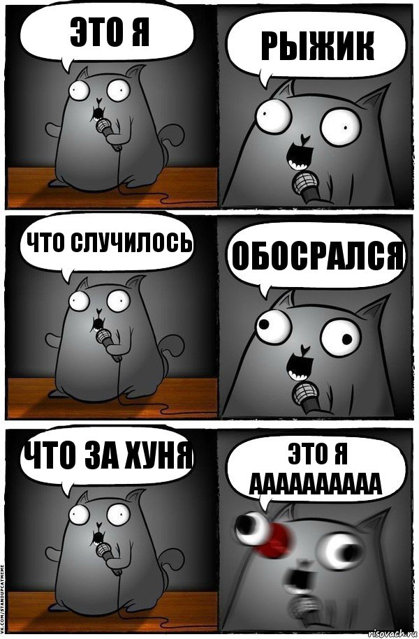 это я рыжик что случилось обосрался что за хуня это я аааааааааа, Комикс  Стендап-кот