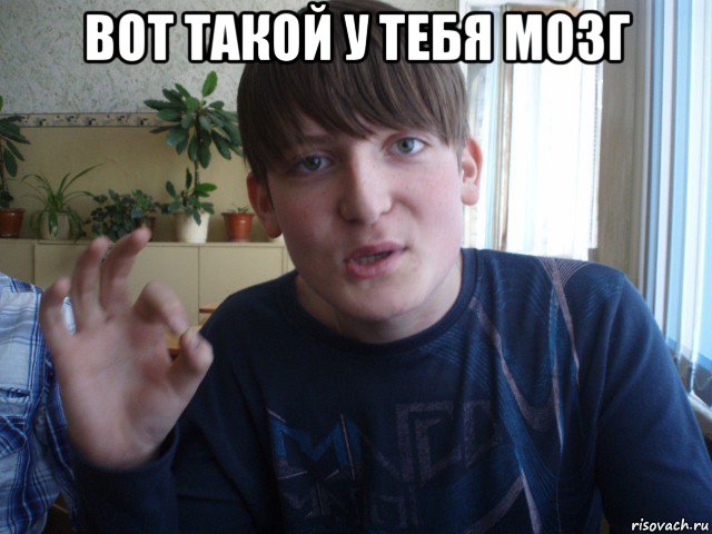 вот такой у тебя мозг 