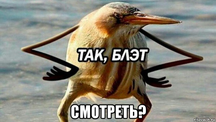  смотреть?, Мем  Так блэт