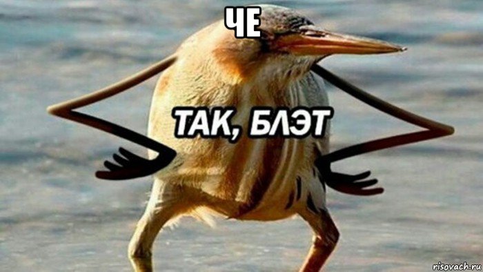 че , Мем  Так блэт