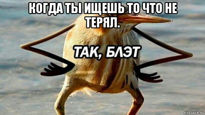 когда ты ищешь то что не терял. , Мем  Так блэт