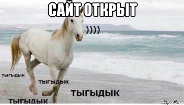 сайт открыт , Мем   Тыгыдык