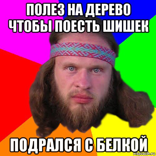 полез на дерево чтобы поесть шишек подрался с белкой, Мем Типичный долбослав