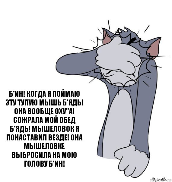 Б'ин! Когда я поймаю эту тупую мышь б'ядь! ОНА ВООБЩЕ ОХУ''А! СОЖРАЛА МОЙ ОБЕД Б'ЯДЬ! Мышеловок я понаставил ВЕЗДЕ! Она мышеловке выбросила на мою голову Б'ин!, Комикс Том фэйспалм