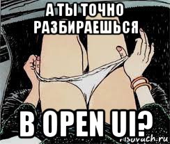 а ты точно разбираешься в open ui?, Мем Трусы снимает