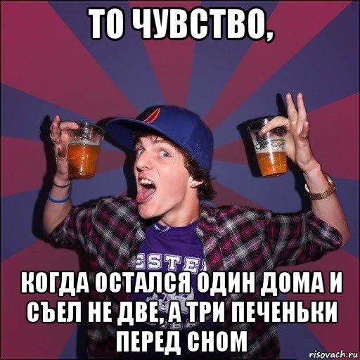 то чувство, когда остался один дома и съел не две, а три печеньки перед сном, Мем Веселый студент