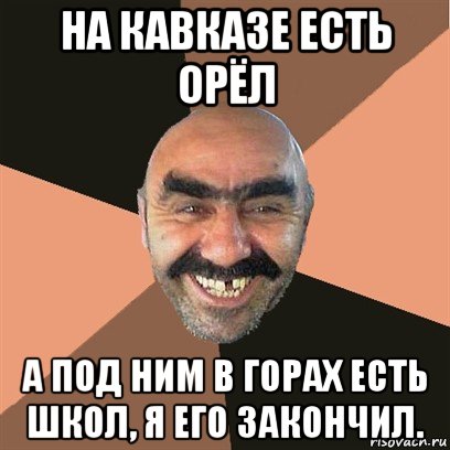 на кавказе есть орёл а под ним в горах есть школ, я его закончил., Мем Я твой дом труба шатал