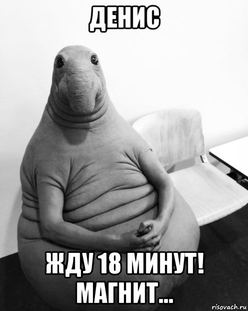 денис жду 18 минут! магнит..., Мем  Ждун