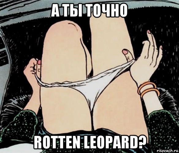 а ты точно rotten leopard?, Мем А ты точно