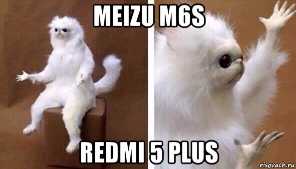 meizu m6s redmi 5 plus, Мем Чучело кота