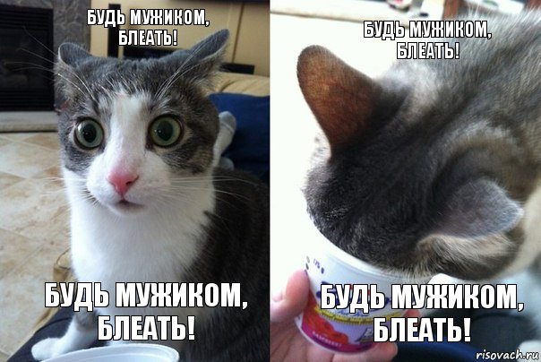 будь мужиком, блеать! будь мужиком, блеать! будь мужиком, блеать! будь мужиком, блеать!, Комикс  Да не бред какой-то (4 зоны)