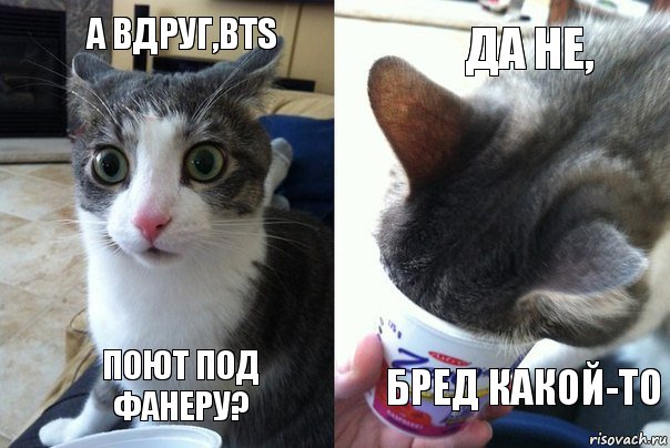 А вдруг,BTS Поют под фанеру? Да не, Бред какой-то, Комикс  Да не бред какой-то (4 зоны)