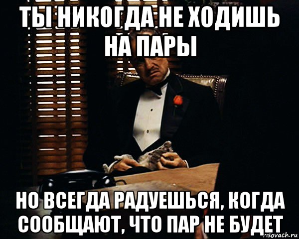 ты никогда не ходишь на пары но всегда радуешься, когда сообщают, что пар не будет, Мем Дон Вито Корлеоне