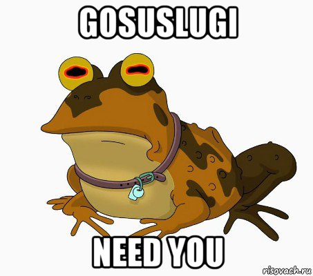 gosuslugi need you