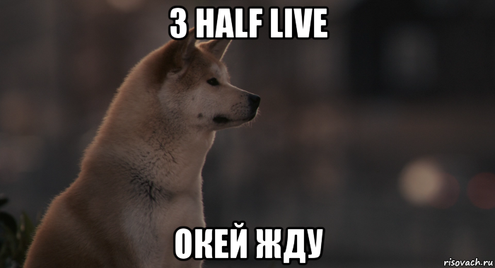 3 half live окей жду, Мем Хатико