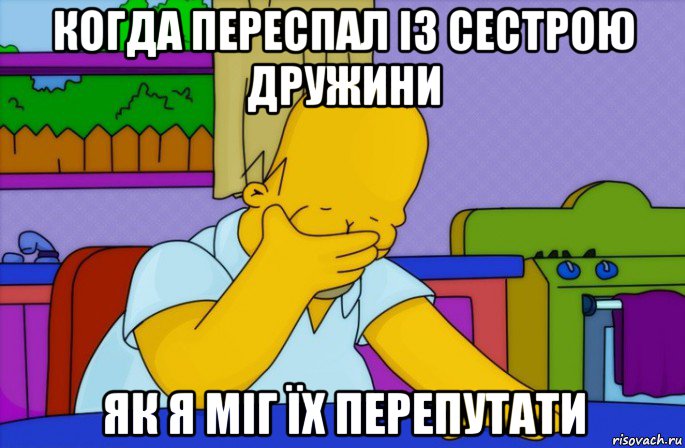 когда переспал із сестрою дружини як я міг їх перепутати, Мем Homer simpson facepalm