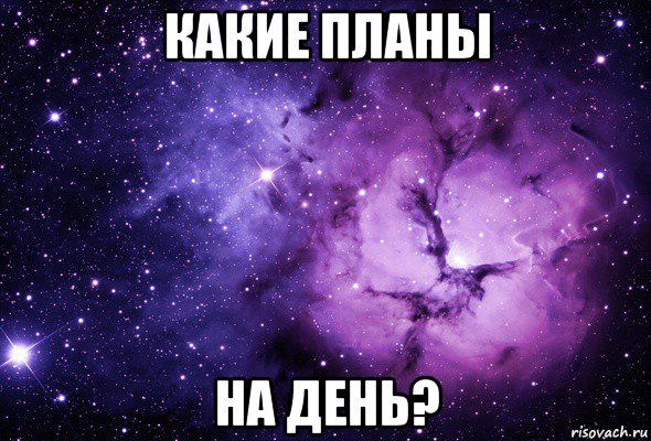 какие планы на день?