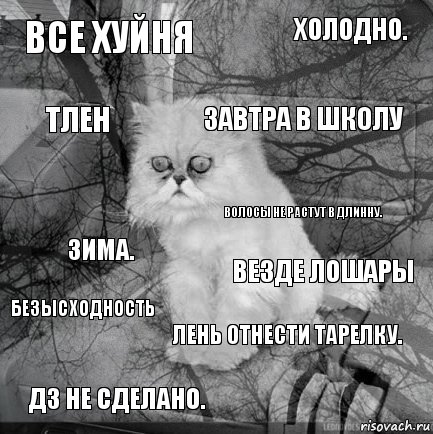 Все хуйня Везде лошары Завтра в школу Дз не сделано. Зима. Холодно. Лень отнести тарелку. Тлен Безысходность Волосы не растут в длинну., Комикс  кот безысходность