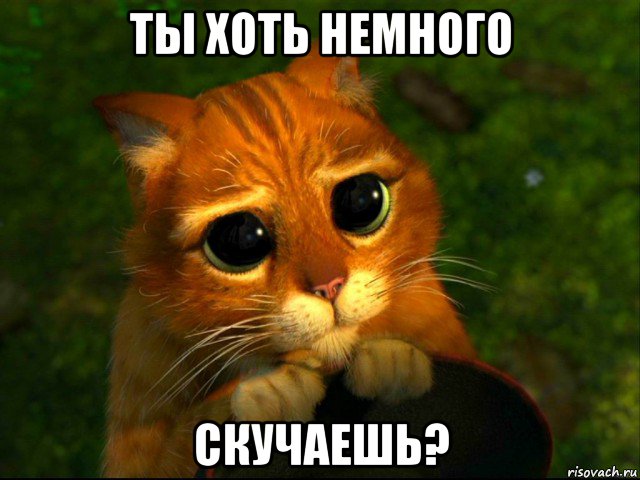 ты хоть немного скучаешь?