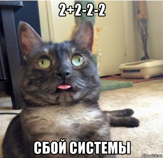 2+2-2-2 сбой системы, Мем   Кот завис