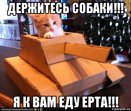 держитесь собаки!!! я к вам еду epta!!!, Мем Котэ танкист