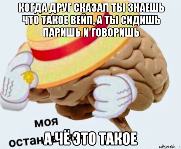 когда друг сказал ты знаешь что такое вейп, а ты сидишь паришь и говоришь а чё это такое, Мем   Моя остановочка мозг