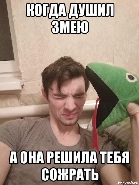 2025 год змеи мемы когда душил змею а она решила тебя сожрать, Мем Н - Рисовач .Ру