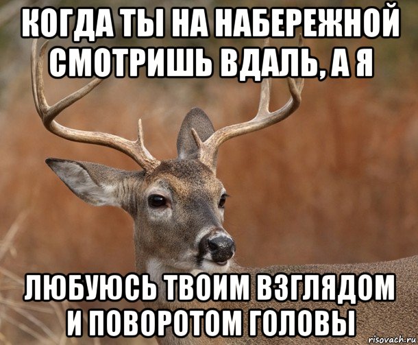 когда ты на набережной смотришь вдаль, а я любуюсь твоим взглядом и поворотом головы, Мем  Наивный Олень v2