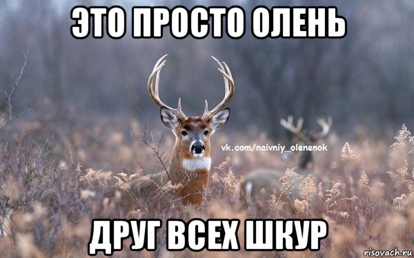 это просто олень друг всех шкур