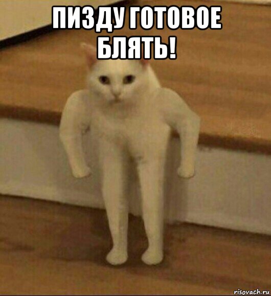 пизду готовое блять! , Мем  Полукот