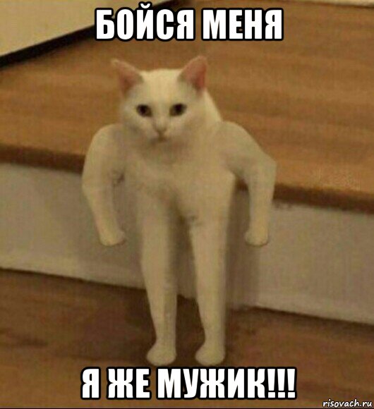 бойся меня я же мужик!!!, Мем  Полукот