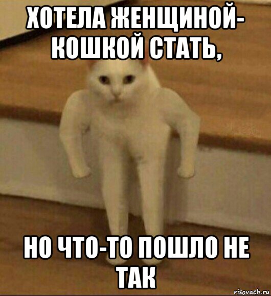 Что то пошло не так картинки